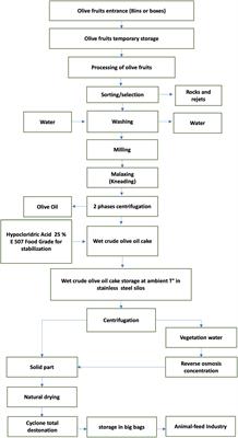 Influence of olive cake dietary supplementation on fecal microbiota of dairy cows